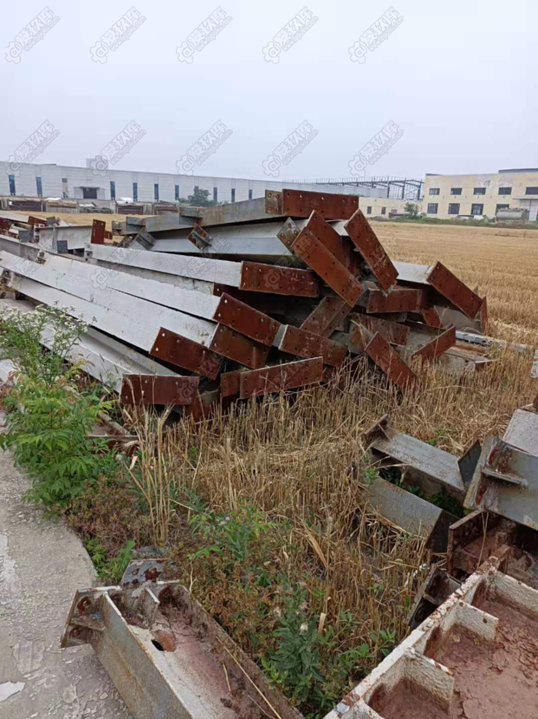 出售105*90*10米鋼結構廠房